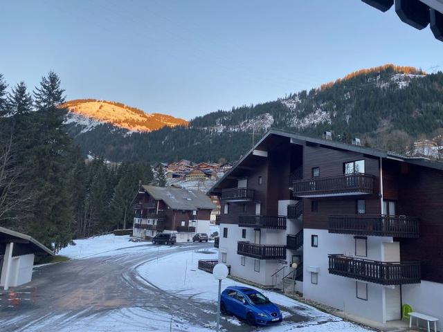 Appartements Le Perce-Neige - Châtel