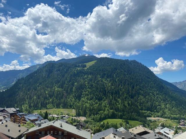 Appartements Les Seilles - Châtel