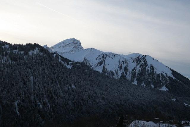 Appartements Le Yeti - Châtel