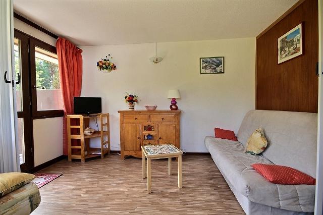 Appartements Le Ventoux - Plagne Centre