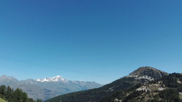 Appartements Le Kilimandjaro - Plagne Centre