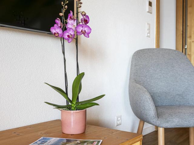 Flat T-Resort La Tzoumaz 4p8 - La Tzoumaz