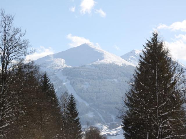 appartement Haus Achenstrasse