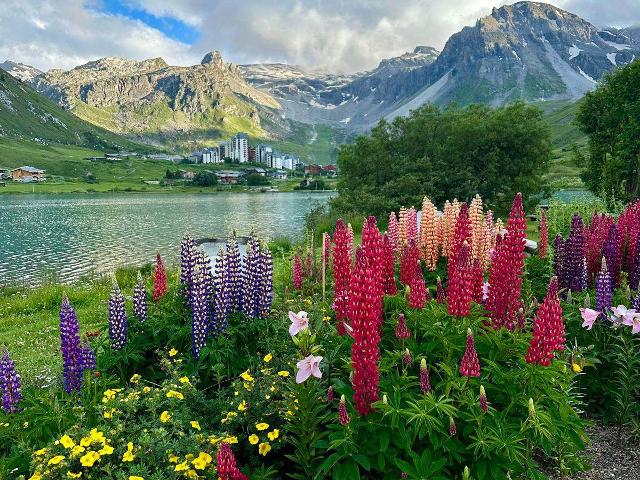 3 pièces rénové au pied des pistes. Vue sur la montagne - Tignes Val Claret
