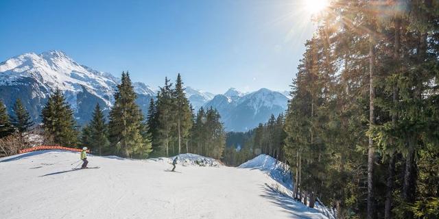Appartements Ancolie - Hauts De Planchamp - Plagne - Champagny en Vanoise
