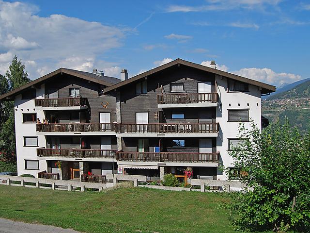 Flat Anémone 20 - Nendaz