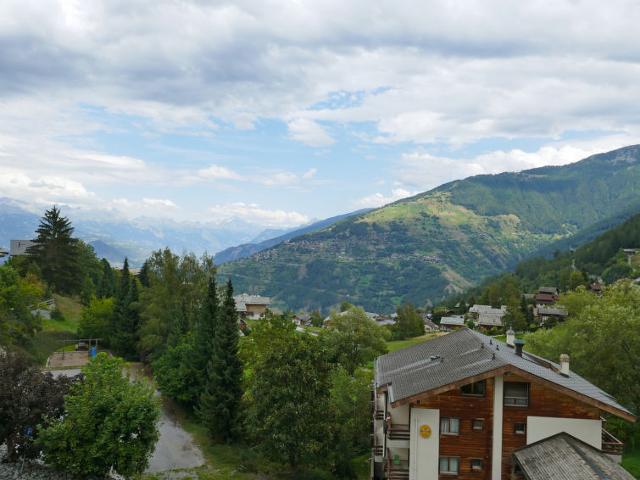 Flat Anémone 20 - Nendaz