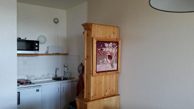 Appartements Aiguille Grive - Plan Peisey