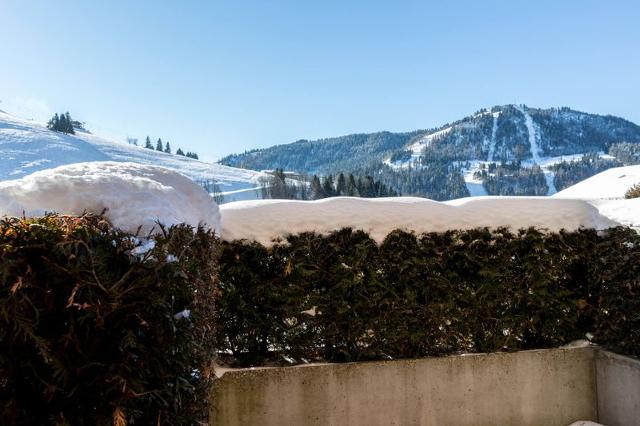 Appartements Alcyon - La Clusaz