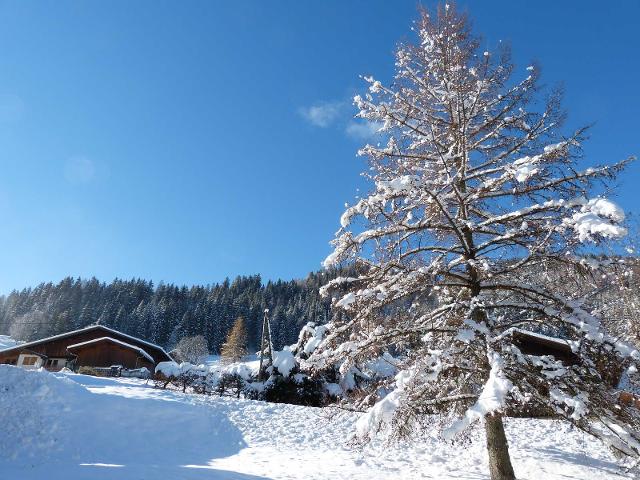 Appartements Converses Riondes - La Clusaz