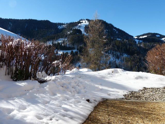 Appartements Crocus - La Clusaz