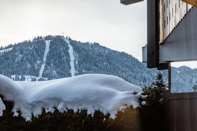 Appartements Domanial B - La Clusaz