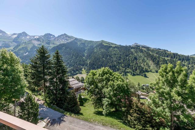 Appartements Graillire B - La Clusaz