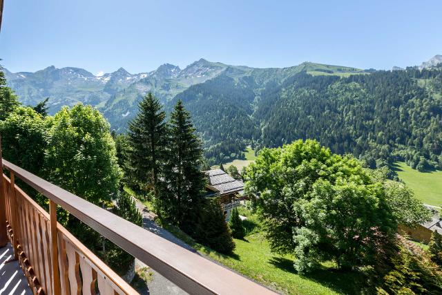 Appartements Graillire B - La Clusaz