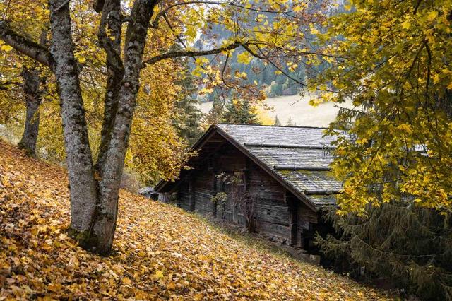 Chalet Noisetiers - La Clusaz