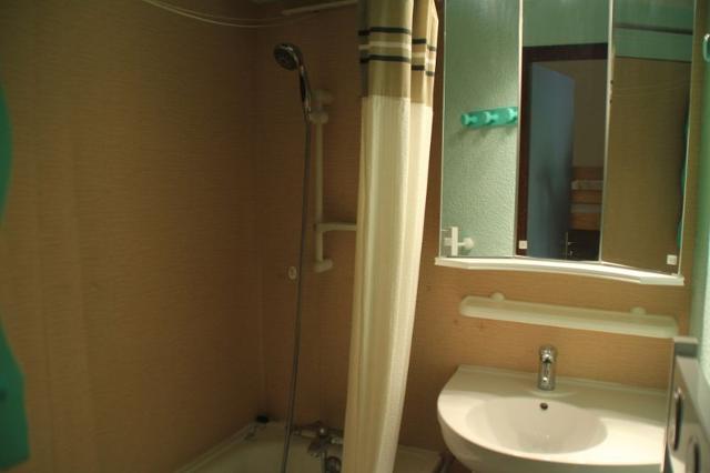 Appartements Le Linga - Châtel
