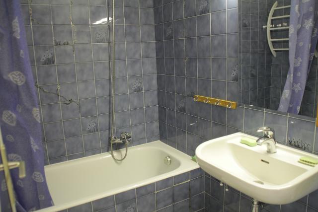 Appartements Le Chambron - Châtel