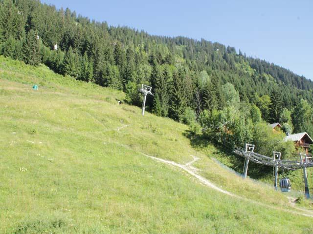 Appartements Les Rhododendrons - Châtel