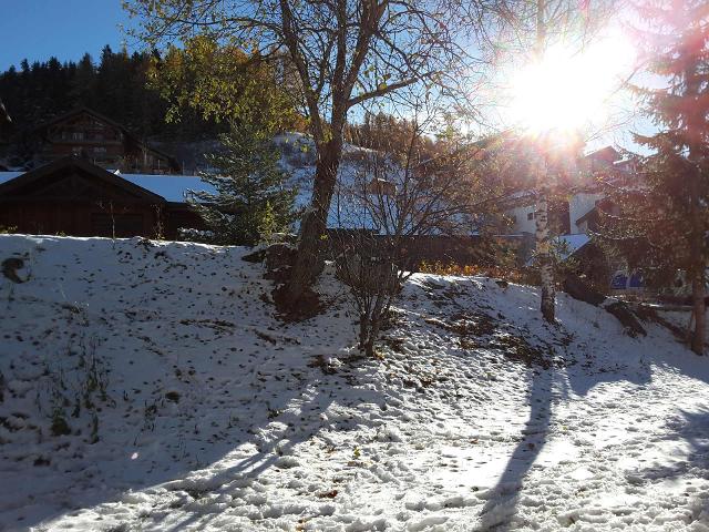 Appartements Michailles - Vallandry