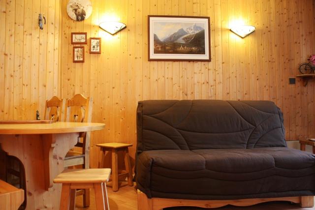 Appartements Lachenal Bat C - Chamonix Centre