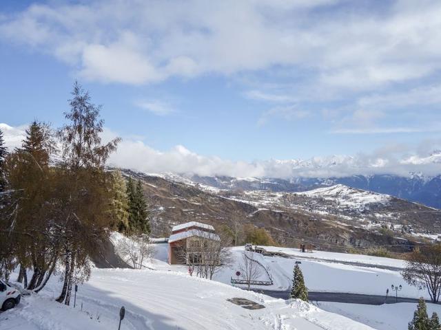 Flat Soyouz Vanguard - Le Corbier