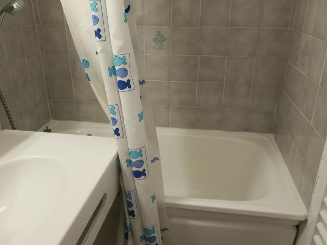 appartement 2 pièces - 4 personnes - Châtel