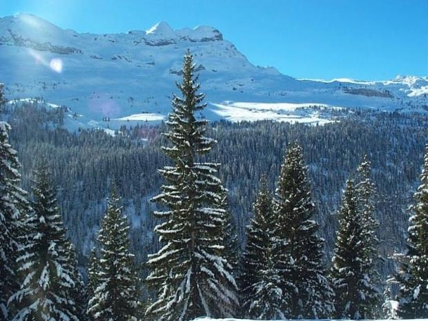 Location Appartement Flaine, 1 pièce, 4 personnes - Flaine Forum 1600