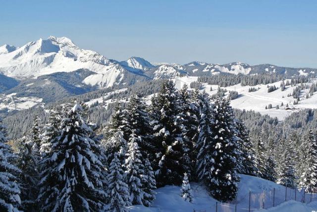 Appartements Saskia - Avoriaz