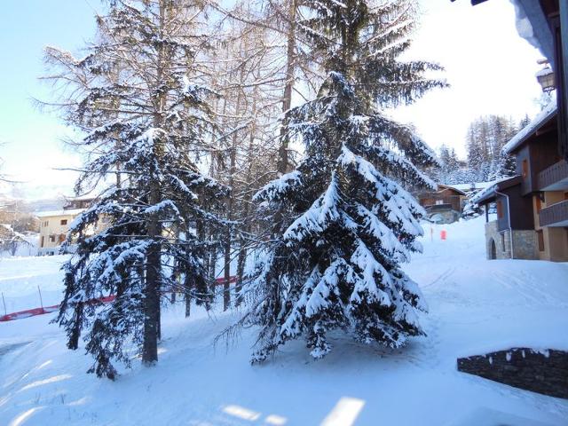 Appartements Les Pentes - Plagne - Les Coches