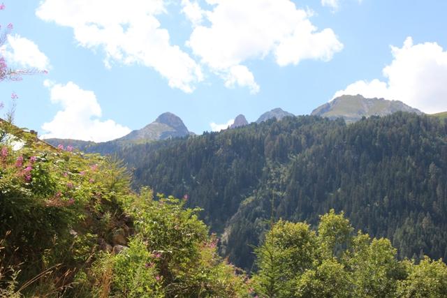 Appartements Le Cheval Blanc - Valfréjus