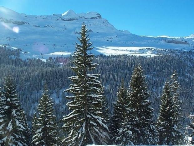 Location Appartement Flaine, 2 pièces, 6 personnes - Flaine Forêt 1700