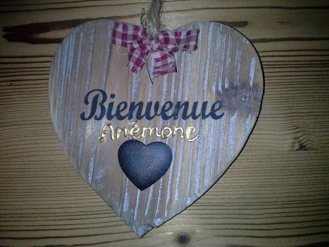 Chalet Les Ancolies - Valloire
