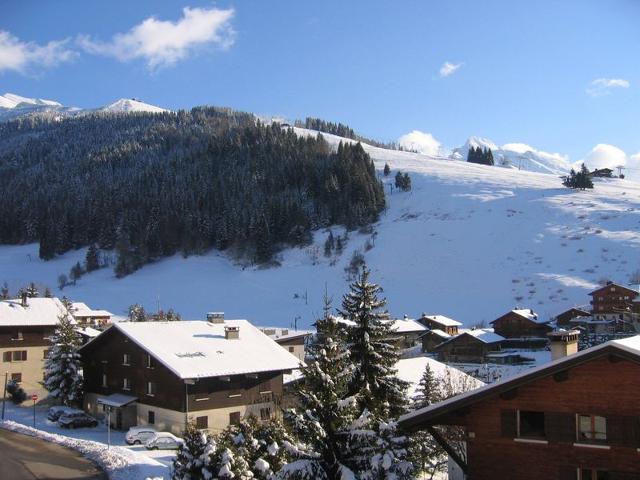 DOMANIAL - La Clusaz