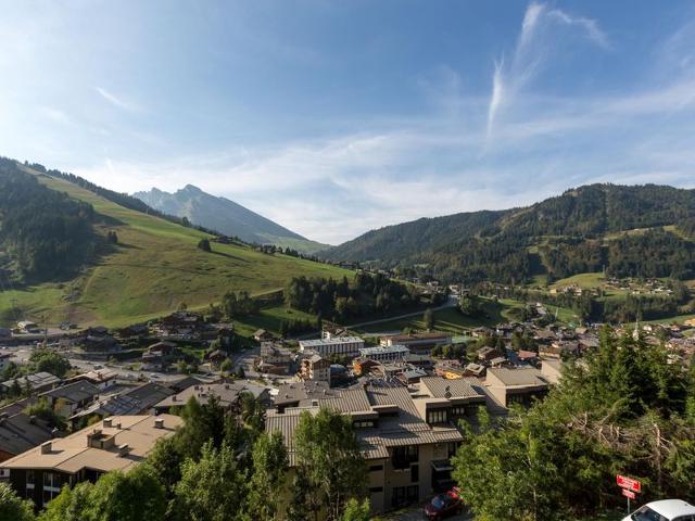 AIGUILLE VERTE - La Clusaz