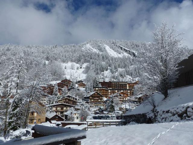 PARNASSE 1 - La Clusaz