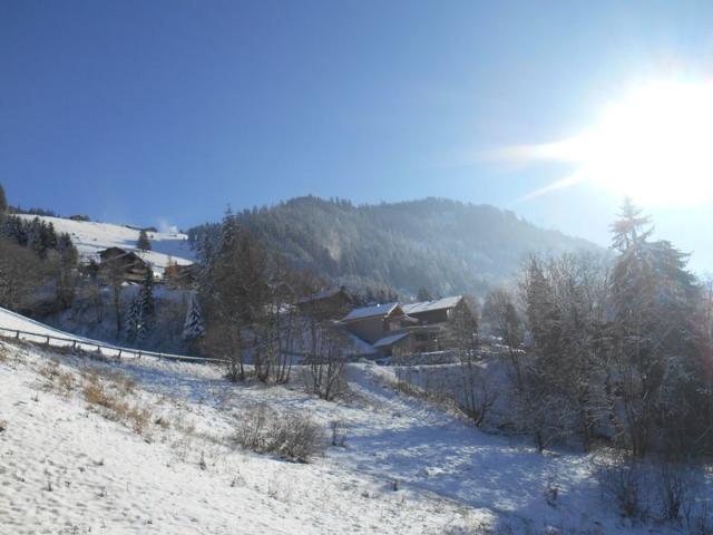 Appartement 3 pièces - 6 Personnes - Châtel