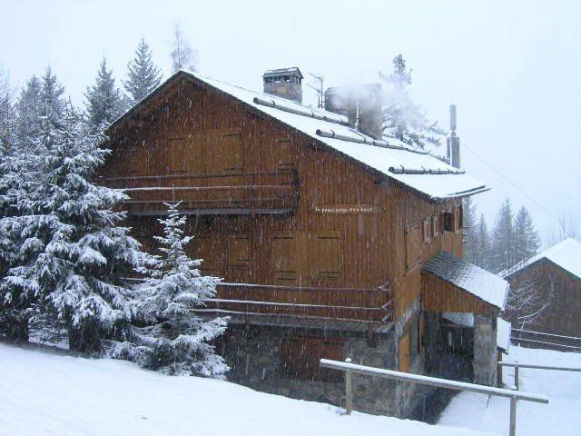 Appartements Perce Neige d'en Haut - Méribel Centre 1600