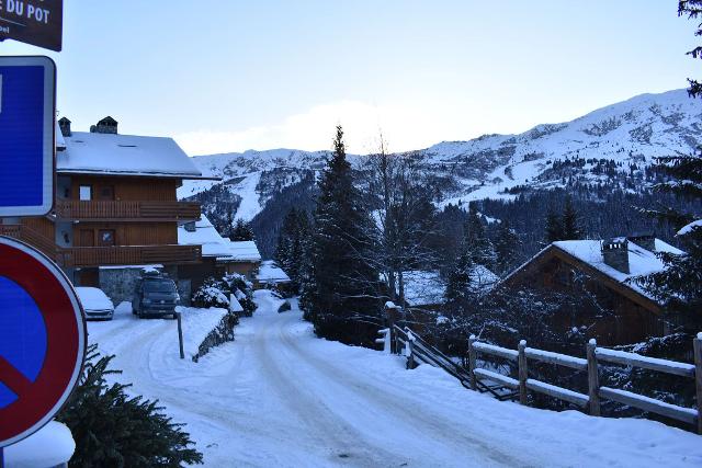Appartements Perce Neige d'en Haut - Méribel Centre 1600