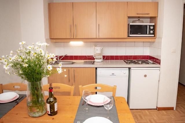 Appartements Les Gentianes - Puy Saint Vincent