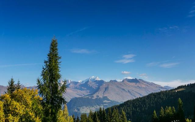 Flats LAUZIERES - Les Arcs 1800