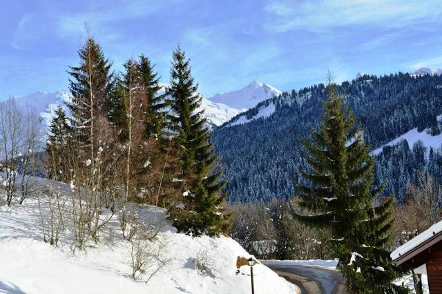 Appartement Millepertuis B GB550-13 - Le Grand Bornand