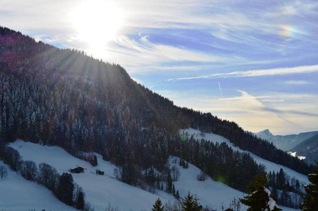 Appartement Millepertuis B GB550-13 - Le Grand Bornand
