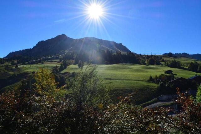 Appartement Vardase CH410-SSE - Le Grand Bornand