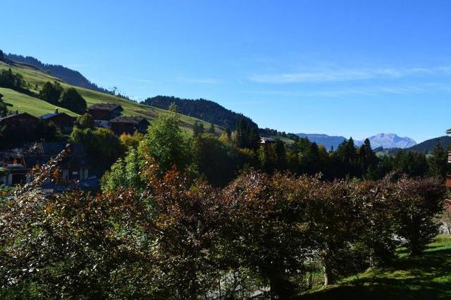 Appartement Vardase CH410-SSE - Le Grand Bornand