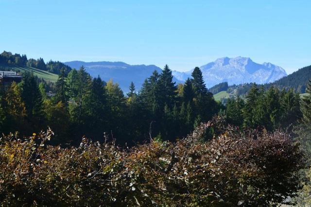 Appartement Vardase CH410-SSE - Le Grand Bornand
