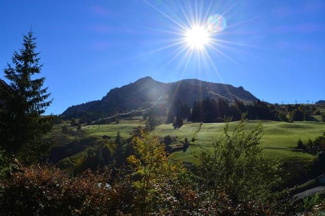 Appartement Vardase CH410-SSE - Le Grand Bornand