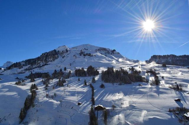 Appartement Roches Fleuries 1 CH380-1B - Le Grand Bornand