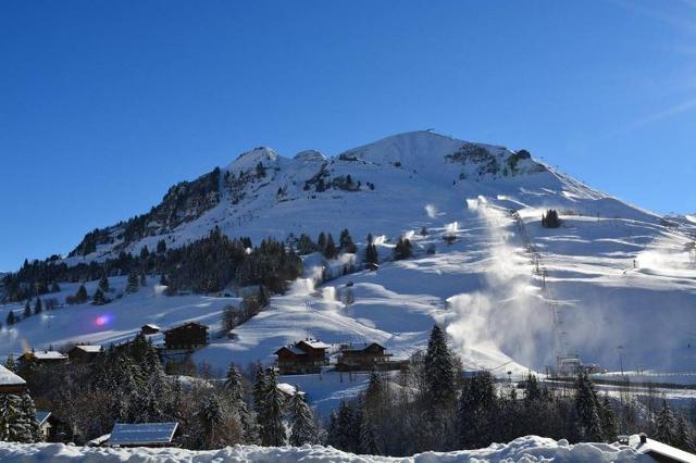 Appartement Perralpes CH330-003 - Le Grand Bornand