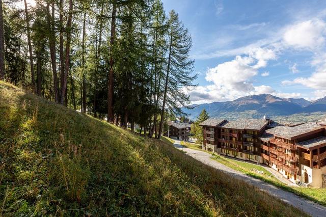 Appartements Le De 4 - Plagne - Les Coches