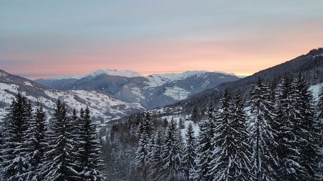 Appartement Cheval Blanc G371 - Valmorel